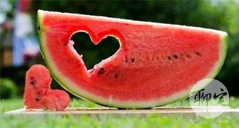 吃瓜网怎么收费了,会员制时代来临