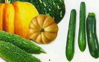 杏吧吃瓜网,揭秘娱乐圈最新热点，带你领略明星幕后故事