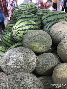 新疆网红阿娜尔汗吃瓜,瓜香四溢的欢乐时光