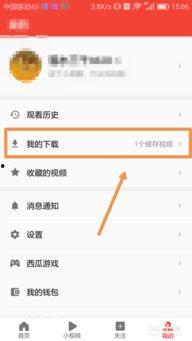 吃瓜网app怎样下载视频,吃瓜网APP轻松下载视频教程
