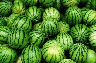 福山网红吃瓜群微信