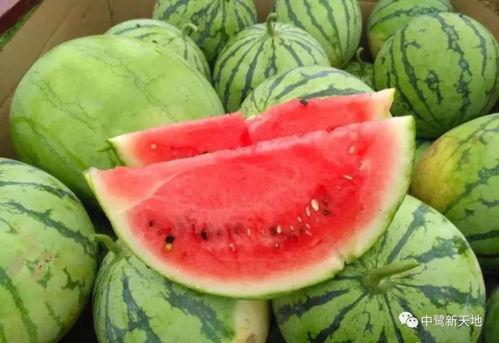 51吃瓜网今天吃瓜爆料