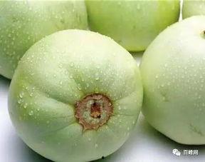 吃瓜网站链接香瓜网,揭秘吃瓜群众的网络乐园