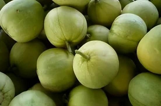 吃瓜网站链接香瓜网,揭秘吃瓜群众的网络乐园