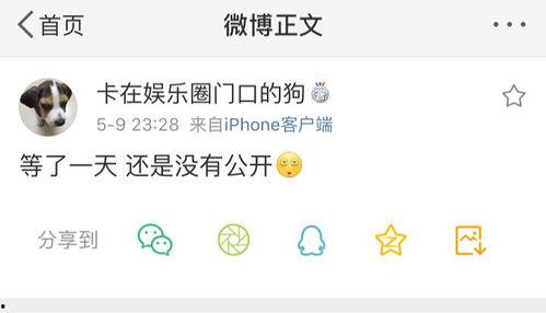 吃瓜网爆料在线看,热门事件在线观看解析