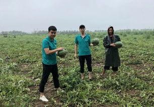 潮阳群众吃瓜网最新消息