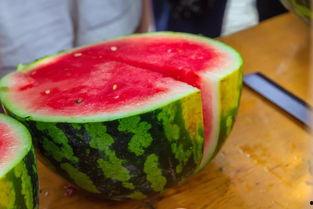 信工大学网红吃瓜事件,揭秘校园网络热点的背后真相