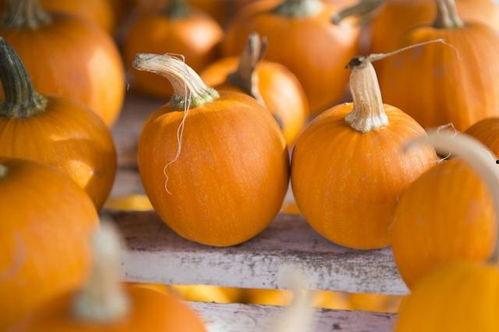 番瓜网吃瓜视频免费观看,番瓜网吃瓜视频，带你轻松追剧不花一分钱！