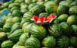 缅甸网红吃瓜事件真相,真相与背后的网络舆论风云