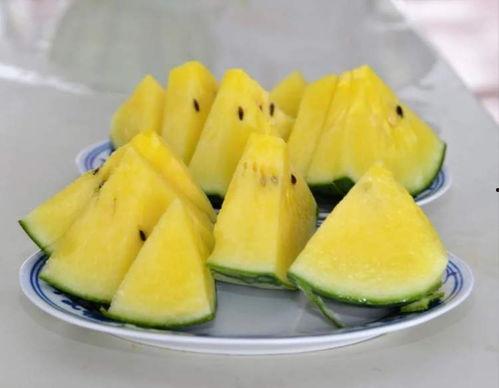 23年吃瓜网,盘点娱乐圈热点事件与幕后真相