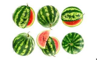 快乐网红吃瓜图片大全