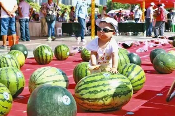 吃瓜网站官网免费,免费畅享娱乐资讯的全新体验