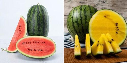 718吃瓜网郭曦文,瓜界风云人物背后的故事