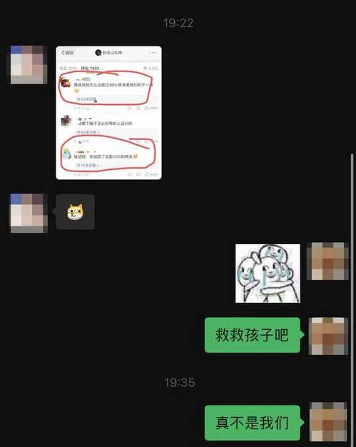 吃瓜网验证码,揭秘网络安全的神秘面纱