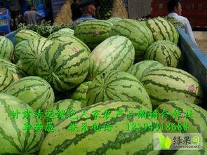 各类网红爆料吃瓜站,吃瓜站背后的热门事件大盘点