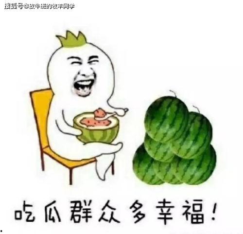 吃瓜打麻将网红,网红生活揭秘