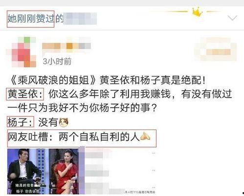 网免费吃瓜黑料泄密,黑料泄密背后的真相与反思