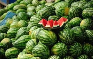 苏州吃瓜网,揭秘姑苏城美食风云录