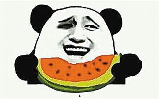 吃瓜官网是什么意思,网络热议背后的真相解析