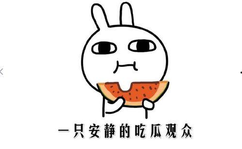 吃瓜官网是什么意思,网络热议背后的真相解析