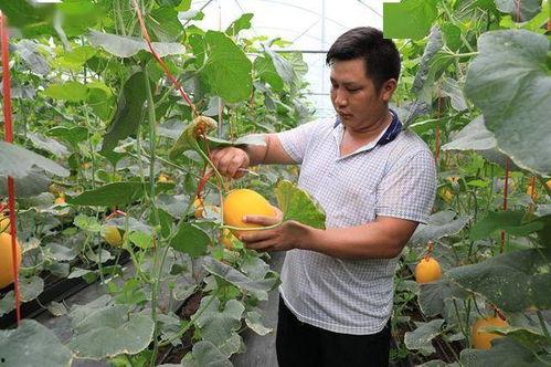 网红吃最近的瓜,揭秘幕后真相，带你走进网红世界风云变幻