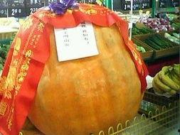 天下第一吃瓜网,揭秘娱乐圈幕后真相，带你领略吃瓜界的风云变幻