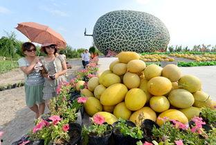 天下第一吃瓜网,揭秘娱乐圈幕后真相，带你领略吃瓜界的风云变幻