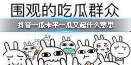 78抖音吃瓜网,揭秘78号热门事件背后的真相