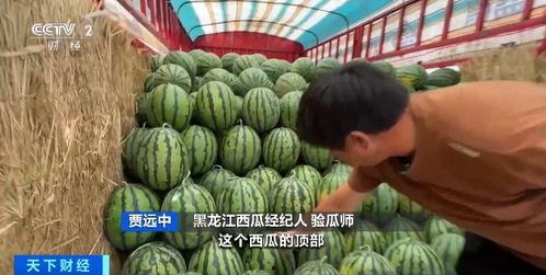 黑龙江吃瓜网红事件,揭秘网络舆论的风暴与真相