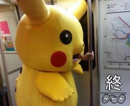 网红皮卡丘吃瓜视频大全,网红萌宠的趣味生活瞬间