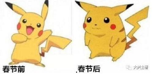 网红皮卡丘吃瓜视频大全,网红萌宠的趣味生活瞬间