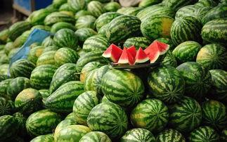 吃瓜网变成,网络舆论场中的“瓜田”盛景