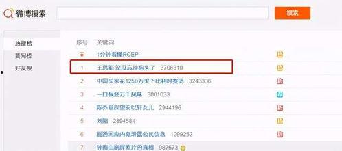 吃网红瓜的网址叫什么