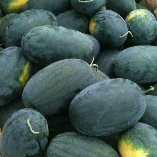 黑瓜吃料网入口在哪里,畅享美食资讯的便捷通道