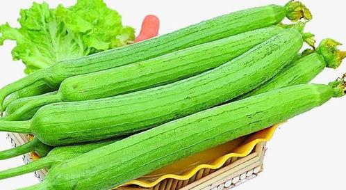 每日吃瓜官网,揭秘娱乐圈最新热点，带你畅游八卦海洋