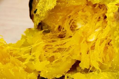 小叮铛吃瓜网,揭秘娱乐圈最新热点，带你畅游八卦海洋