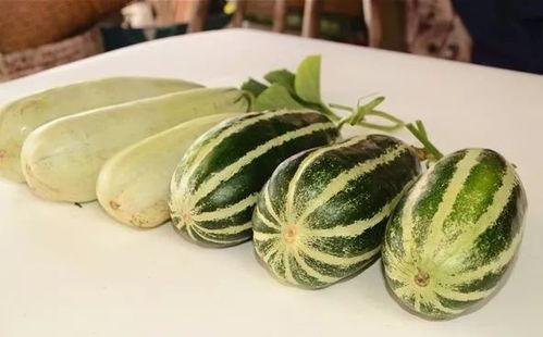 吃瓜超有料网红,揭秘娱乐圈幕后故事