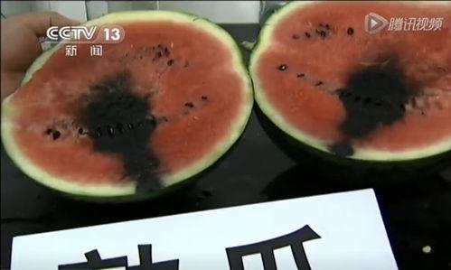 网红白茶事件吃瓜视频,揭秘网络红人背后的真相与争议