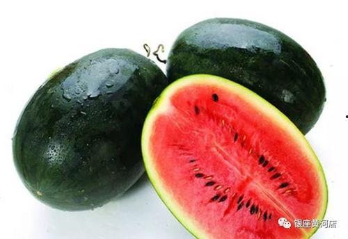 黑瓜吃料正能量官网最新烟台学校,黑瓜吃料正能量官网助力校园文化建设新篇章”