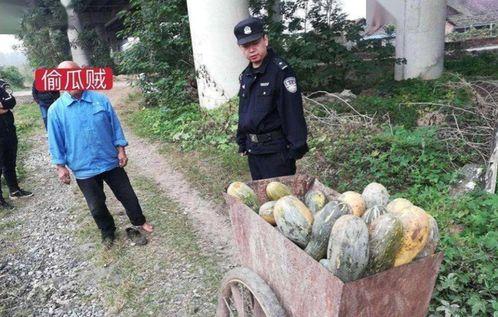 文县网红吃瓜事件最新