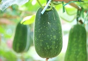 人人吃瓜官网今日热瓜,人人吃瓜官网揭秘热门话题背后的真相