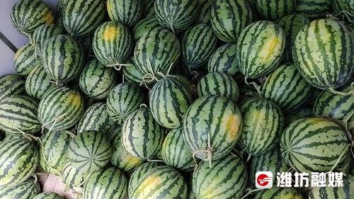 黑料吃瓜网一区二区三区