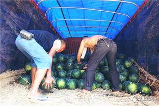 恩平网红吃瓜群众视频  第3张