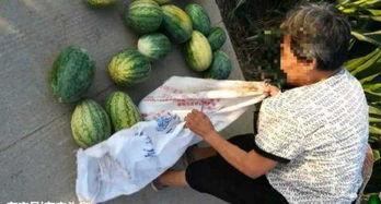 近期宿迁网红吃瓜合集,盘点近期热门事件  第2张