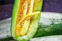 化隆网红吃瓜,揭秘网络红人的幕后故事  第2张