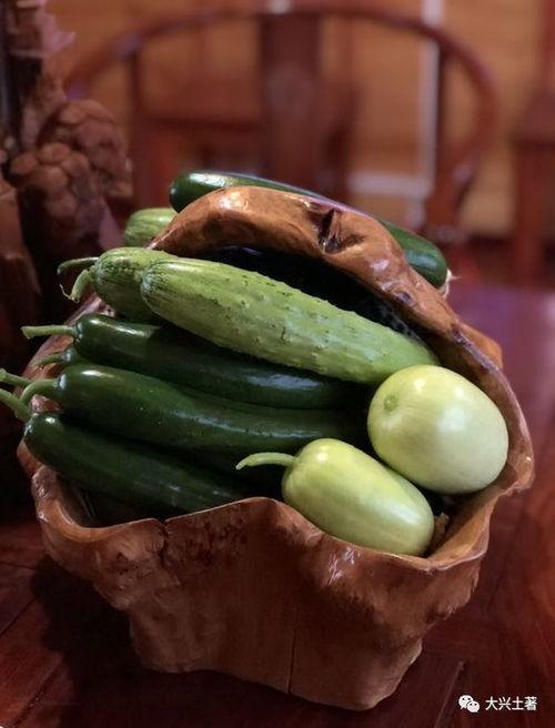 可以吃网红瓜的  第2张