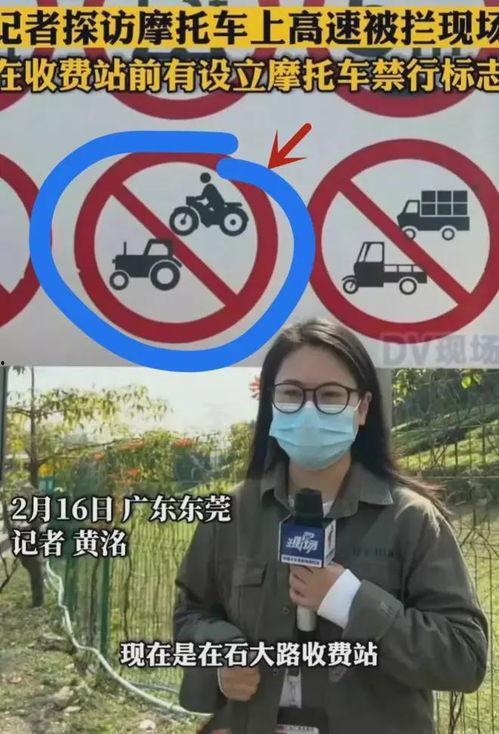 300万网红吃瓜,揭秘娱乐圈最新瓜料大揭秘！  第2张