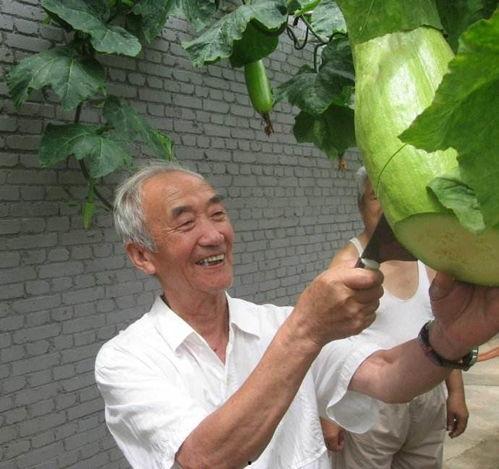 随时吃瓜网,随时吃瓜网带你畅游明星八卦世界  第2张