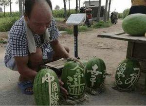 网红吃瓜事件卖减肥药,揭秘减肥药背后的真相与争议  第2张