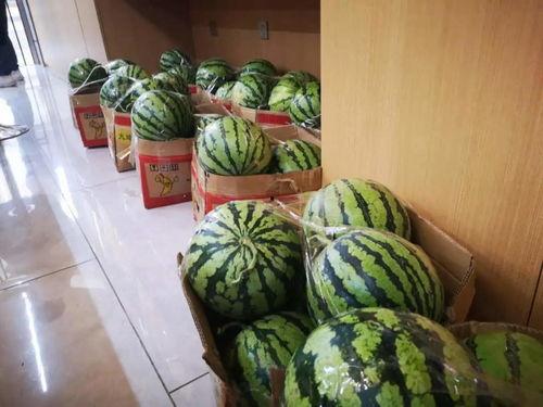 吃瓜直播网红有哪些